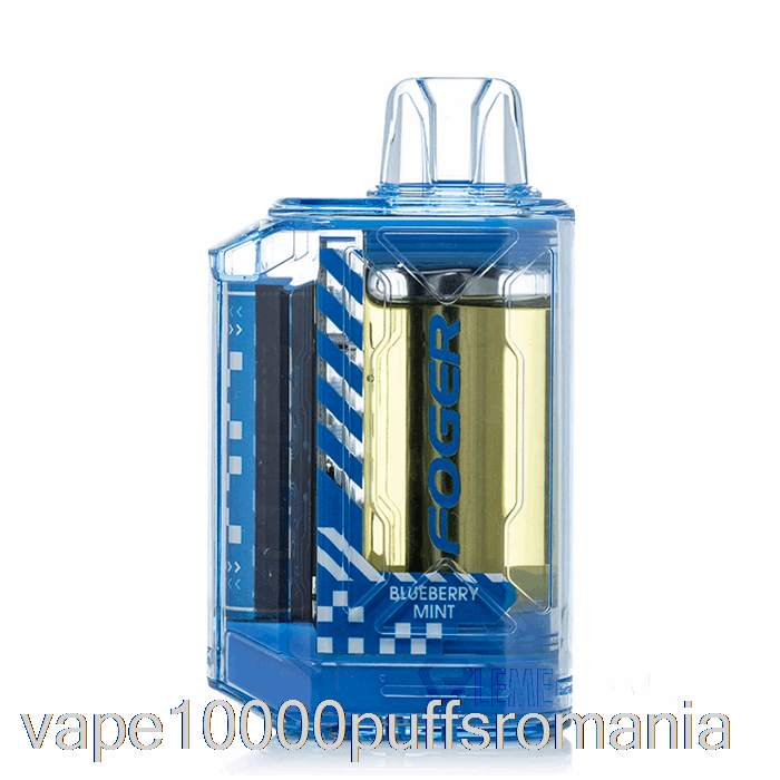 Vape Romania Foger Ct10000 De Unica Folosinta Afine Menta